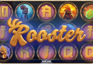 Rooster